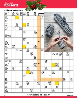 sondag-20251129_000_00_00_026.pdf