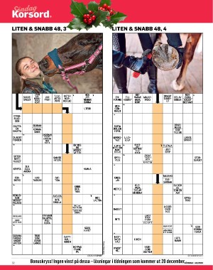 sondag-20251129_000_00_00_032.pdf