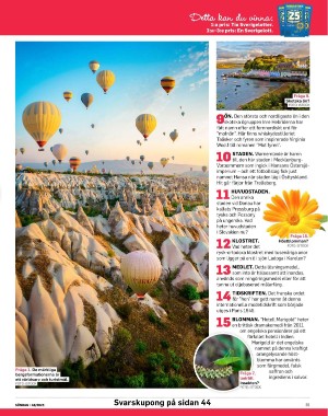 sondag-20251129_000_00_00_035.pdf