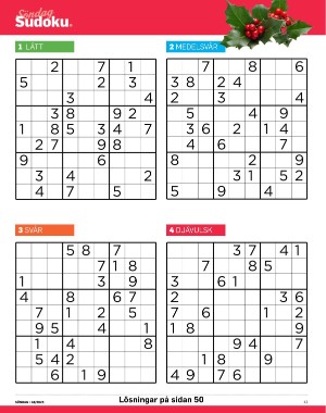 sondag-20251129_000_00_00_041.pdf