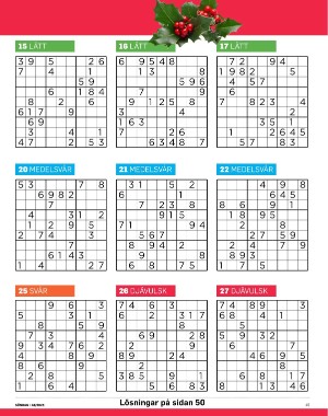 sondag-20251129_000_00_00_045.pdf