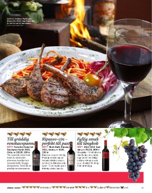 sondag-20251129_000_00_00_059.pdf