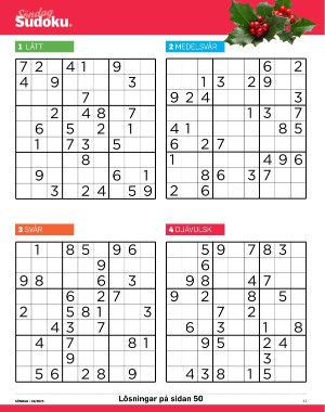 sondag-20251206_000_00_00_041.pdf