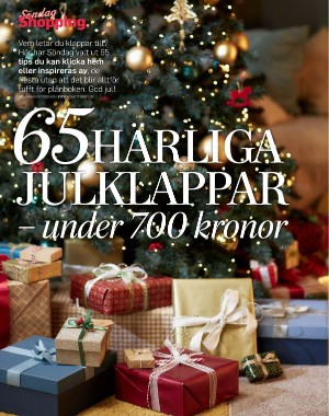 sondag-20251206_000_00_00_052.pdf