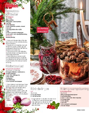 sondag-20251213_000_00_00_062.pdf