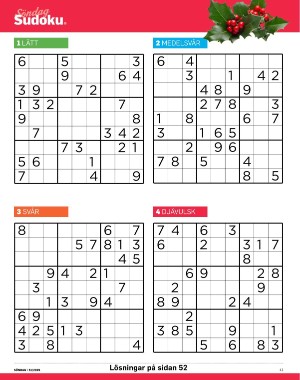 sondag-20251220_000_00_00_041.pdf