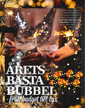 sondag-20251227_000_00_00_054.pdf