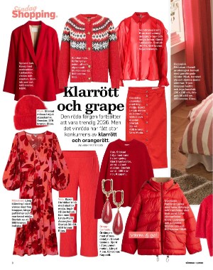 sondag-20260103_000_00_00_008.pdf