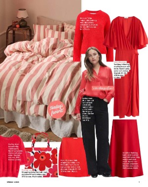 sondag-20260103_000_00_00_009.pdf