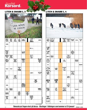 sondag-20260103_000_00_00_032.pdf