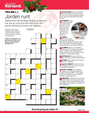 sondag-20260103_000_00_00_034.pdf