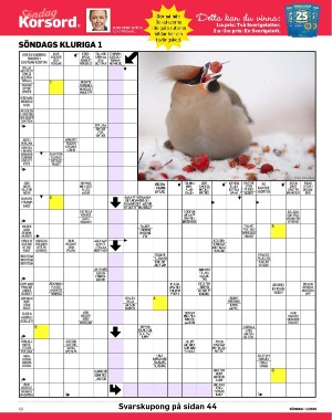 sondag-20260103_000_00_00_040.pdf