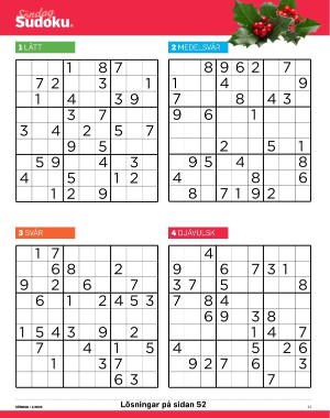 sondag-20260103_000_00_00_041.pdf