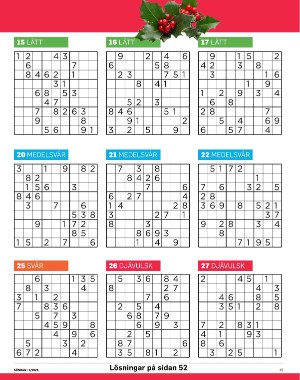 sondag-20260103_000_00_00_045.pdf