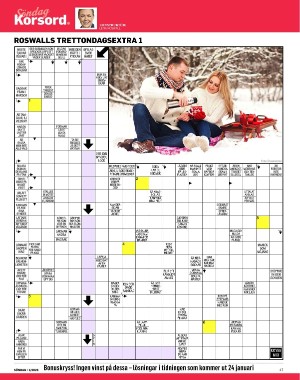 sondag-20260103_000_00_00_047.pdf