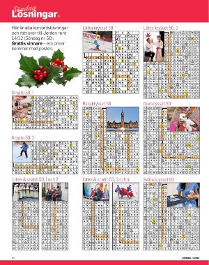 sondag-20260103_000_00_00_050.pdf