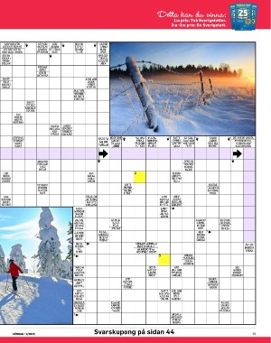 sondag-20260110_000_00_00_039.pdf