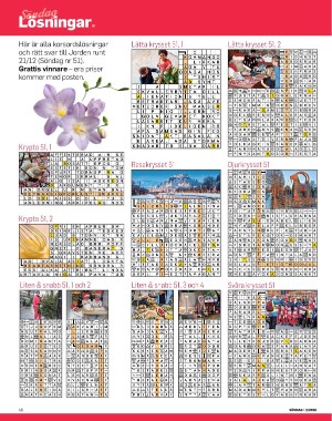 sondag-20260110_000_00_00_048.pdf