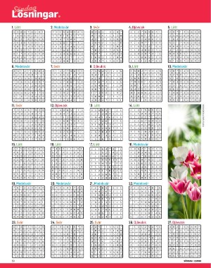 sondag-20260110_000_00_00_050.pdf