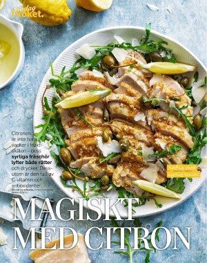 sondag-20260110_000_00_00_060.pdf