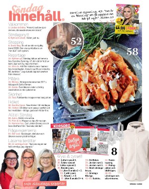 sondag-20260117_000_00_00_004.pdf