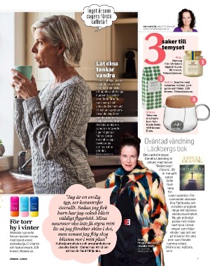 sondag-20260117_000_00_00_007.pdf