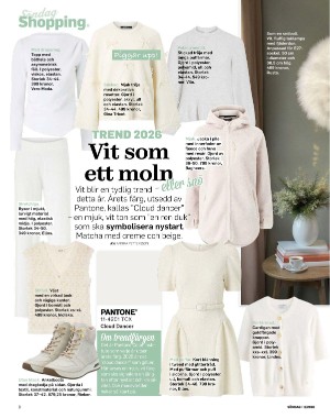 sondag-20260117_000_00_00_008.pdf