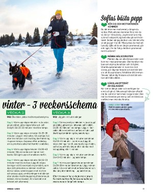 sondag-20260117_000_00_00_019.pdf