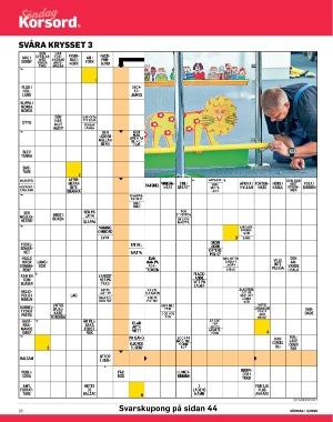 sondag-20260117_000_00_00_026.pdf