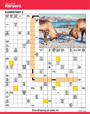 sondag-20260117_000_00_00_030.pdf