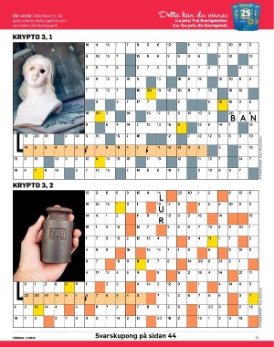 sondag-20260117_000_00_00_031.pdf