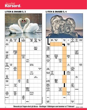 sondag-20260117_000_00_00_032.pdf