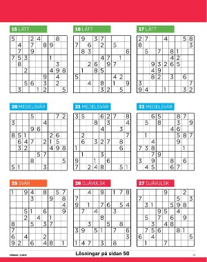 sondag-20260117_000_00_00_045.pdf