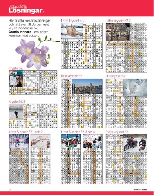 sondag-20260117_000_00_00_048.pdf