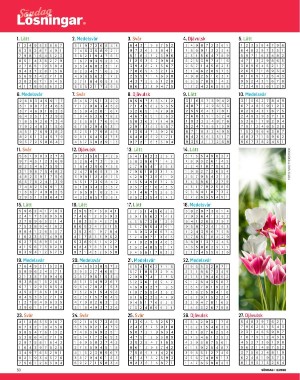 sondag-20260117_000_00_00_050.pdf