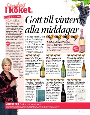 sondag-20260117_000_00_00_056.pdf