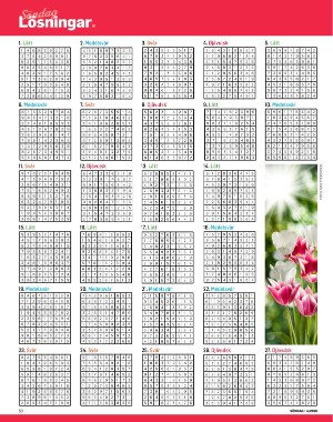 sondag-20260124_000_00_00_050.pdf