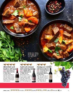 sondag-20260124_000_00_00_059.pdf