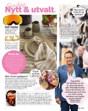 sondag-20260131_000_00_00_006.pdf