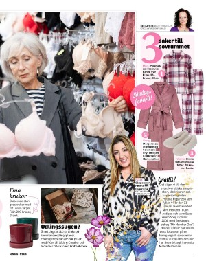 sondag-20260131_000_00_00_007.pdf