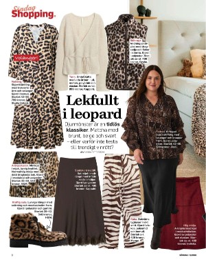 sondag-20260131_000_00_00_008.pdf