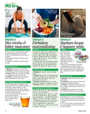 sondag-20260131_000_00_00_020.pdf