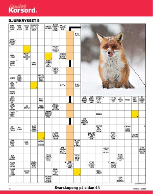 sondag-20260131_000_00_00_030.pdf