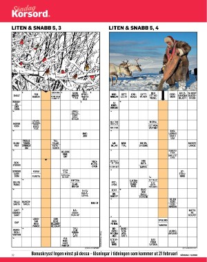 sondag-20260131_000_00_00_032.pdf