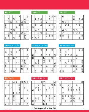 sondag-20260131_000_00_00_045.pdf