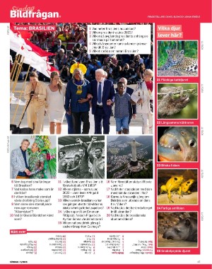 sondag-20260131_000_00_00_047.pdf