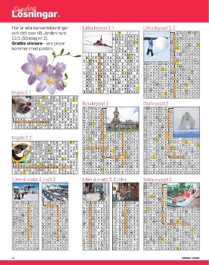 sondag-20260131_000_00_00_048.pdf