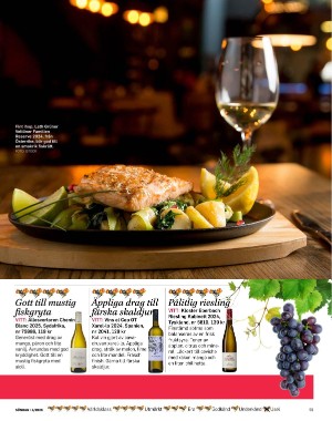 sondag-20260131_000_00_00_059.pdf