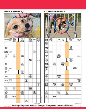 sondag-20260207_000_00_00_029.pdf