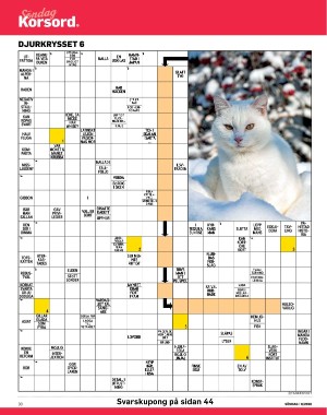 sondag-20260207_000_00_00_030.pdf